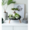 image:imageYAMAZAKI Home Pedestal Table Tray with Wooden Legs for Countertop White  Versatile metal pedestal table tray featuring wooden legs Ideal for countertop display Showcase food or accessoriesBlack