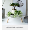 image:imageYAMAZAKI Home Pedestal Table Tray with Wooden Legs for Countertop White  Versatile metal pedestal table tray featuring wooden legs Ideal for countertop display Showcase food or accessoriesWhite