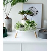 image:imageYAMAZAKI Home Pedestal Table Tray with Wooden Legs for Countertop White  Versatile metal pedestal table tray featuring wooden legs Ideal for countertop display Showcase food or accessoriesWhite
