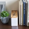 image:imageYAMAZAKI Home Rin Stacking Watch And Accessory Case Jewelry Box Organizer For Glasses  Plastic  WoodWhite
