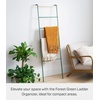 image:imageYamazaki Home Tower Leaning Ladder Rack Space Saving  Ladder 63  Steel  Leaning ladder hanger for bedroom closet living room bathroom storage Nonslip rubber caps protect floors and wallsForest Green