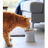 image:imageYamazaki Home Tower Elevated Ceramic Pet Food Bowl  Angled NonSlip Microwave amp Dishwasher Safe  67OzWhite