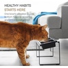 image:imageYamazaki Home Slow Feeder Ceramic Pet Bowl with Elevated Stand  Small Ceramic Bowl Set with AntiChoking Puzzle for Cats and Small Dogs Angled Design White  075 Cups 180 mlBlack